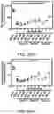 Fig. 42 - Small molecule inhibitors of bacterial efflux pumps and methods of using same