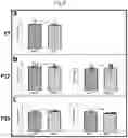 Fig. 09 - Tip60 Inhibitors and Methods of Use for Cardiovascular Disease