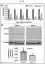 Fig. 24 - Tip60 Inhibitors and Methods of Use for Cardiovascular Disease