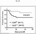 Fig. 33 - Tip60 Inhibitors and Methods of Use for Cardiovascular Disease
