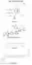 Fig. 42 - Tip60 Inhibitors and Methods of Use for Cardiovascular Disease