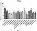 Fig. 17 - COLLAGEN P4H1 INHIBITOR AND ITS USE