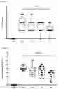 Fig. 12 - COMPOSITION FOR ORAL ADMINISTRATION WITH CONTROLLED RELEASE PROPERTIES COMPRISING COMPLEX OF CLAY MINERALS, METHOD FOR PREPARING SAME, AND METHOD FOR CONTROLLING RELEASE PROPERTIES