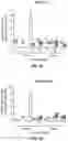 Fig. 04 - SUSTAINED RELEASE FORMULATION FOR LOCAL DELIVERY OF CDK9 INHIBITORS