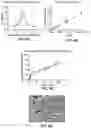Fig. 10 - SUSTAINED RELEASE FORMULATION FOR LOCAL DELIVERY OF CDK9 INHIBITORS