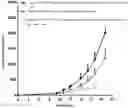 Fig. 01 - APPLICATION OF COMBINATION OF QUINOLINE DERIVATIVE AND IMMUNOMODULATOR IN PREPARATION OF ANTITUMOR DRUGS