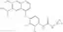 Fig. 16 - APPLICATION OF COMBINATION OF QUINOLINE DERIVATIVE AND IMMUNOMODULATOR IN PREPARATION OF ANTITUMOR DRUGS