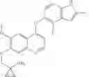 Fig. 02 - COMBINED PHARMACEUTICAL COMPOSITION FOR TREATING SMALL CELL LUNG CANCER