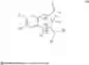 Fig. 40 - IMMUNE MODULATORY COMPOSITIONS AND METHODS FOR TREATING CANCERS