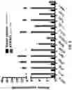 Fig. 10 - COMPOSITIONS AND METHODS FOR ENHANCING CANCER IMMUNE CHECKPOINT THERAPY
