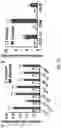 Fig. 11 - COMPOSITIONS AND METHODS FOR ENHANCING CANCER IMMUNE CHECKPOINT THERAPY