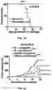 Fig. 20 - COMPOSITIONS AND METHODS FOR ENHANCING CANCER IMMUNE CHECKPOINT THERAPY