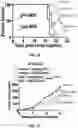 Fig. 22 - COMPOSITIONS AND METHODS FOR ENHANCING CANCER IMMUNE CHECKPOINT THERAPY
