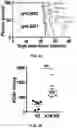 Fig. 23 - COMPOSITIONS AND METHODS FOR ENHANCING CANCER IMMUNE CHECKPOINT THERAPY