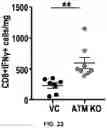 Fig. 25 - COMPOSITIONS AND METHODS FOR ENHANCING CANCER IMMUNE CHECKPOINT THERAPY