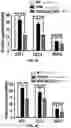 Fig. 36 - COMPOSITIONS AND METHODS FOR ENHANCING CANCER IMMUNE CHECKPOINT THERAPY