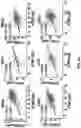 Fig. 45 - COMPOSITIONS AND METHODS FOR ENHANCING CANCER IMMUNE CHECKPOINT THERAPY