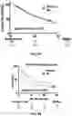 Fig. 46 - COMPOSITIONS AND METHODS FOR ENHANCING CANCER IMMUNE CHECKPOINT THERAPY