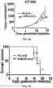 Fig. 48 - COMPOSITIONS AND METHODS FOR ENHANCING CANCER IMMUNE CHECKPOINT THERAPY