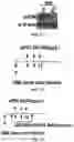 Fig. 49 - COMPOSITIONS AND METHODS FOR ENHANCING CANCER IMMUNE CHECKPOINT THERAPY