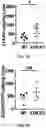 Fig. 53 - COMPOSITIONS AND METHODS FOR ENHANCING CANCER IMMUNE CHECKPOINT THERAPY