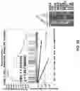 Fig. 55 - COMPOSITIONS AND METHODS FOR ENHANCING CANCER IMMUNE CHECKPOINT THERAPY