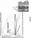 Fig. 56 - COMPOSITIONS AND METHODS FOR ENHANCING CANCER IMMUNE CHECKPOINT THERAPY