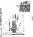 Fig. 58 - COMPOSITIONS AND METHODS FOR ENHANCING CANCER IMMUNE CHECKPOINT THERAPY