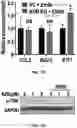 Fig. 69 - COMPOSITIONS AND METHODS FOR ENHANCING CANCER IMMUNE CHECKPOINT THERAPY