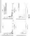Fig. 17 - COMPOSITIONS AND METHODS OF TREATMENT