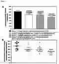 Fig. 02 - PHARMACEUTICAL COMBINATIONS FOR TREATING CANCER