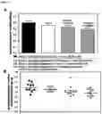 Fig. 03 - PHARMACEUTICAL COMBINATIONS FOR TREATING CANCER