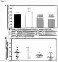 Fig. 05 - PHARMACEUTICAL COMBINATIONS FOR TREATING CANCER