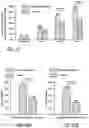 Fig. 19 - Pharmaceutical compositions comprising meloxicam