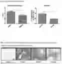 Fig. 06 - COMPOSITIONS COMPRISING OXYGENATED CHOLESTEROL SULFATE AND AT LEAST ONE OF POLYALKYLENE GLYCOL, CARBOXYMETHYL CELLULOSE AND POLYOXYLGLYCERIDE