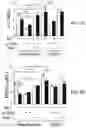 Fig. 04 - APKC inhibitors and methods of treating a neurodegenerative disease or disorder