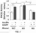 Fig. 14 - APKC inhibitors and methods of treating a neurodegenerative disease or disorder