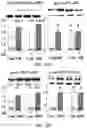 Fig. 22 - APKC inhibitors and methods of treating a neurodegenerative disease or disorder