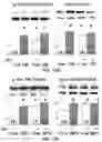 Fig. 25 - APKC inhibitors and methods of treating a neurodegenerative disease or disorder