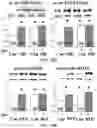 Fig. 26 - APKC inhibitors and methods of treating a neurodegenerative disease or disorder