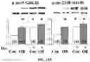Fig. 27 - APKC inhibitors and methods of treating a neurodegenerative disease or disorder