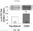 Fig. 41 - APKC inhibitors and methods of treating a neurodegenerative disease or disorder