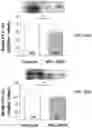 Fig. 46 - APKC inhibitors and methods of treating a neurodegenerative disease or disorder