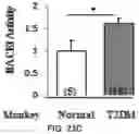 Fig. 48 - APKC inhibitors and methods of treating a neurodegenerative disease or disorder