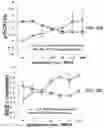 Fig. 51 - APKC inhibitors and methods of treating a neurodegenerative disease or disorder