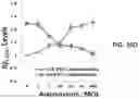 Fig. 52 - APKC inhibitors and methods of treating a neurodegenerative disease or disorder
