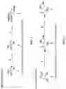 Fig. 02 - Galactopyranosyl-cyclohexyl derivatives as e-selectin antagonists