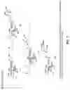 Fig. 06 - Galactopyranosyl-cyclohexyl derivatives as e-selectin antagonists
