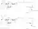 Fig. 113 - Galactopyranosyl-cyclohexyl derivatives as e-selectin antagonists