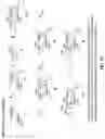 Fig. 12 - Galactopyranosyl-cyclohexyl derivatives as e-selectin antagonists